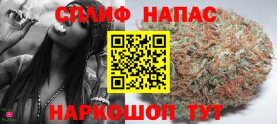 PSILOCYBIN Заволжье
