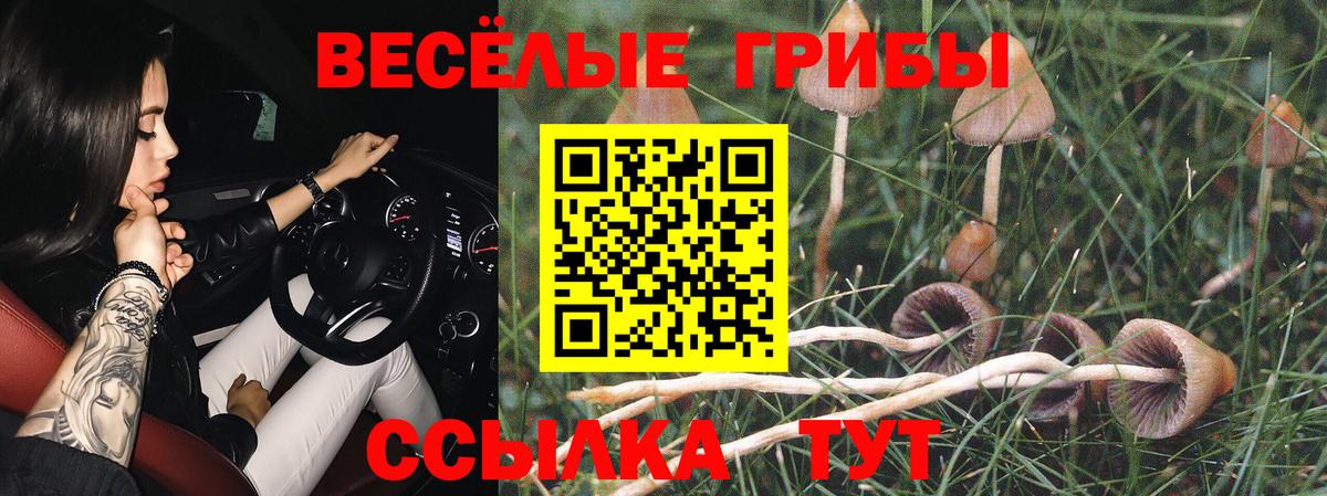 Лесозаводск  Псилоцибиновые грибы мицелий  Вход с VPN 